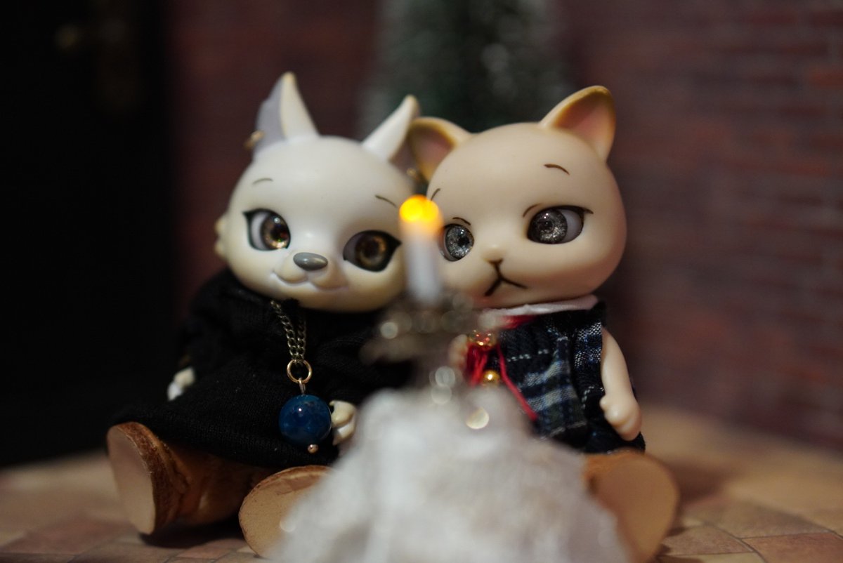 カプセルドール