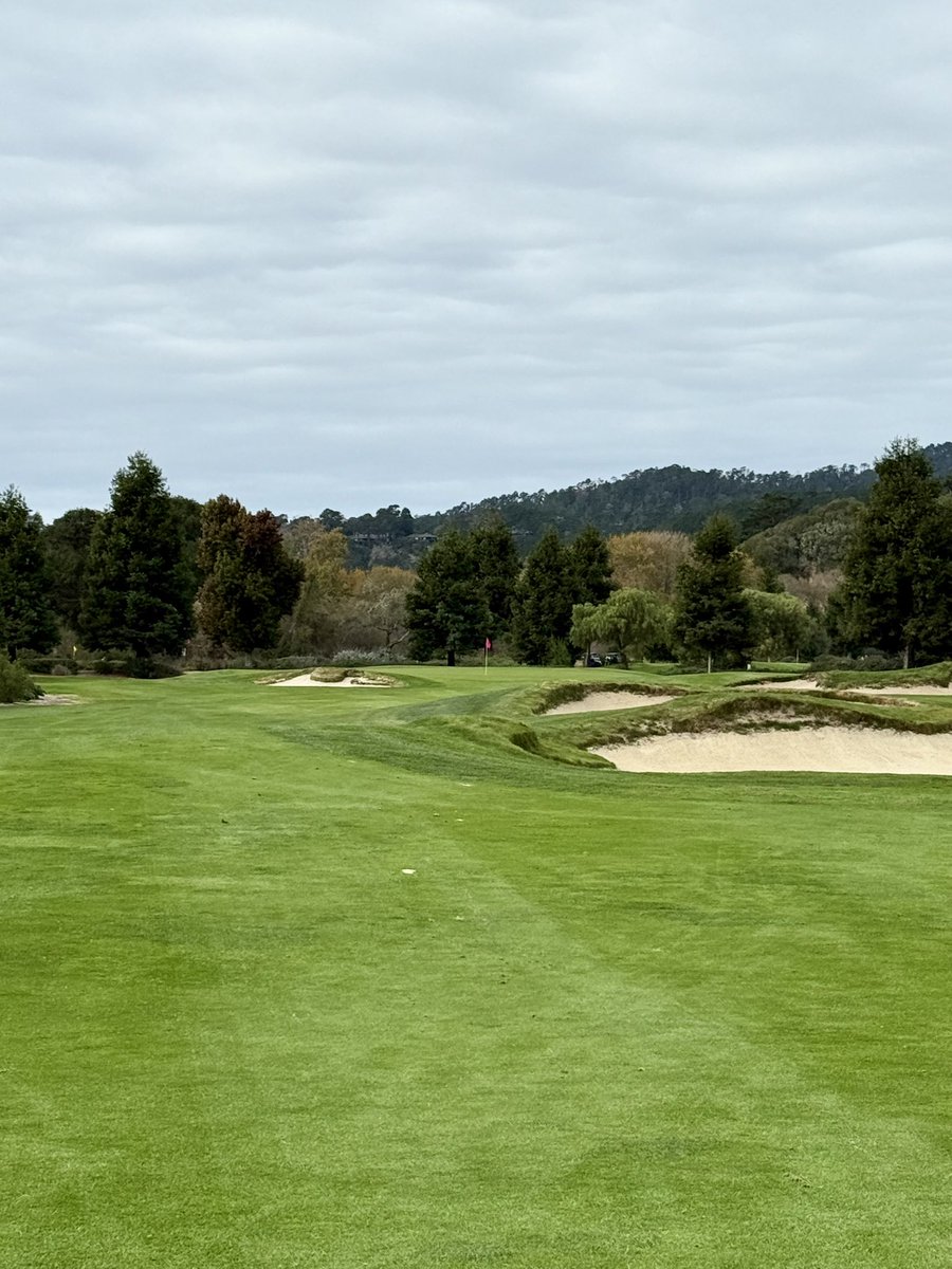 uclarolo's tweet photo. Got invited to play at The Quail this past weekend. Awesome course. https://t.co/hSDmNp4LoP