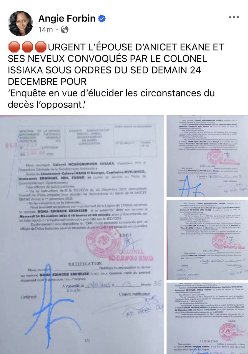 projectcameroon's tweet image. #Liberezlecameroun