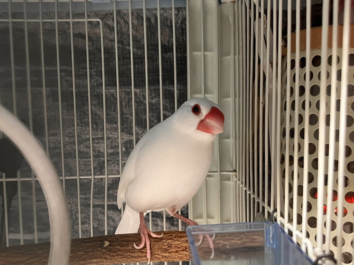 今日もありがとうね