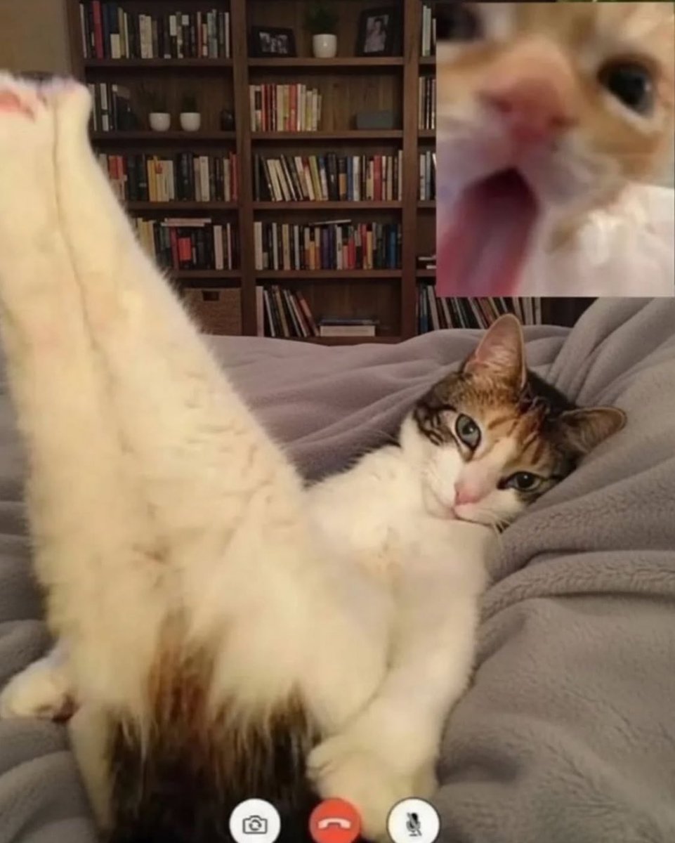 YANMAR PRODUCT VISIONの海(SEA)の領域を指す「YPV-S」では、フォイリングセイルボートで新たなマリンライフを提案します💁  これまでヤンマーが培った舶用技術を基に、自然力を最大限活用して、動力から船上の過ごし方までトータルにデザインします✨, image size:961x1200