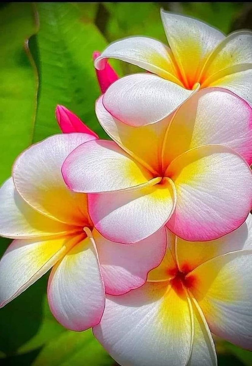 🌿Psalm 124:8 KJV

                          Our help is in the name of the Lord,
                               Who made heaven and earth.