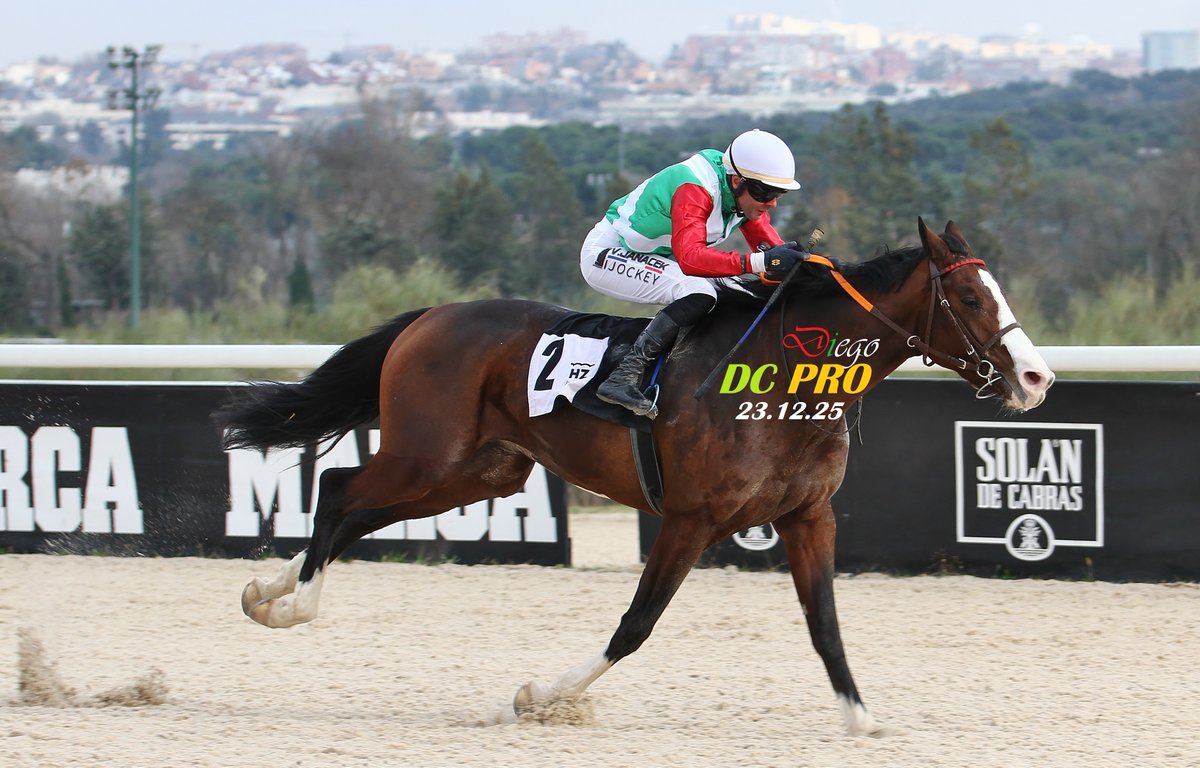 DC PRO 🐎 tweet media