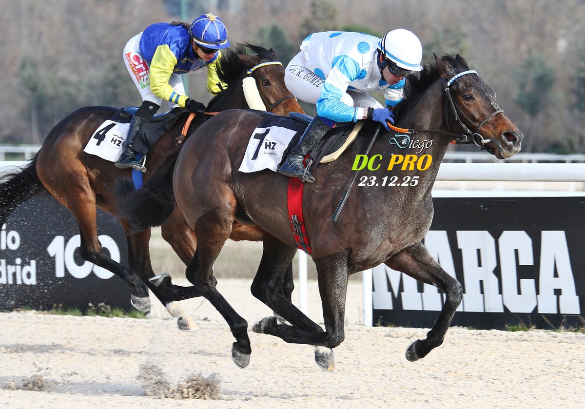 DC PRO 🐎 tweet media