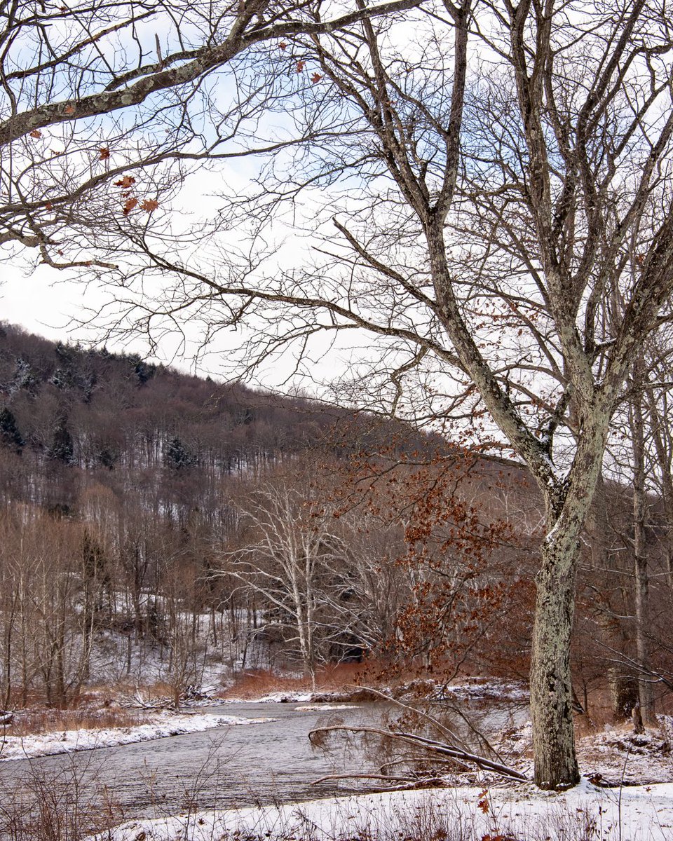 GWCatskills's tweet photo. Get outside for a New Year's Day Hike! Enjoy a guided experience with a group hike up Bramley Mountain to the Fire Tower or take a walk on your own at one of the many fantastic hikes in Delaware County. Learn more here: https://t.co/mYu81mCYjB

📸 by Joe Damone https://t.co/3pKXOkQy6Y