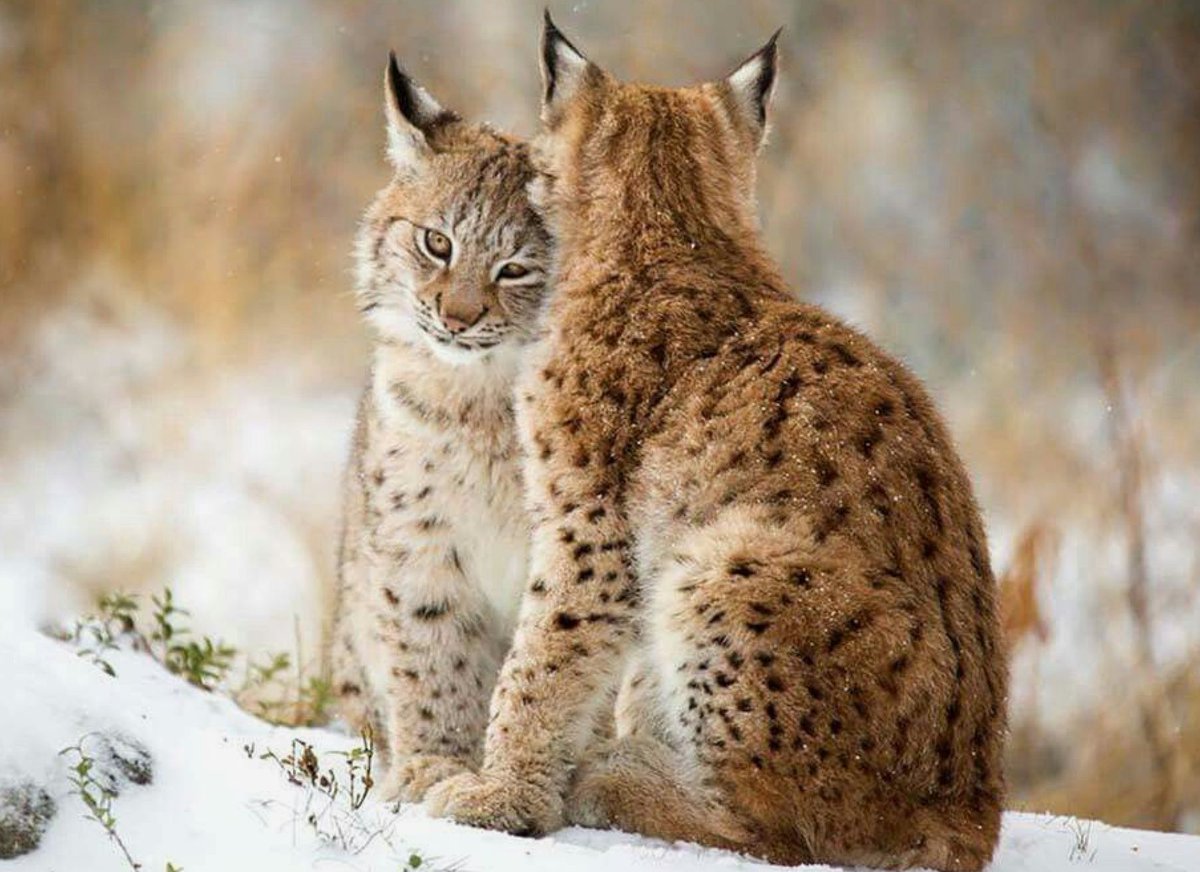 mami♡ 𝙼𝚊𝚖𝚒🌹 (@mami_mami813) / Posts / X