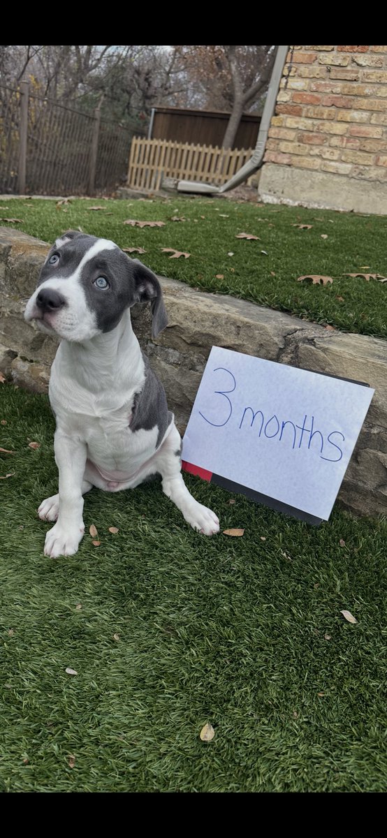 Corby Davidson tweet media