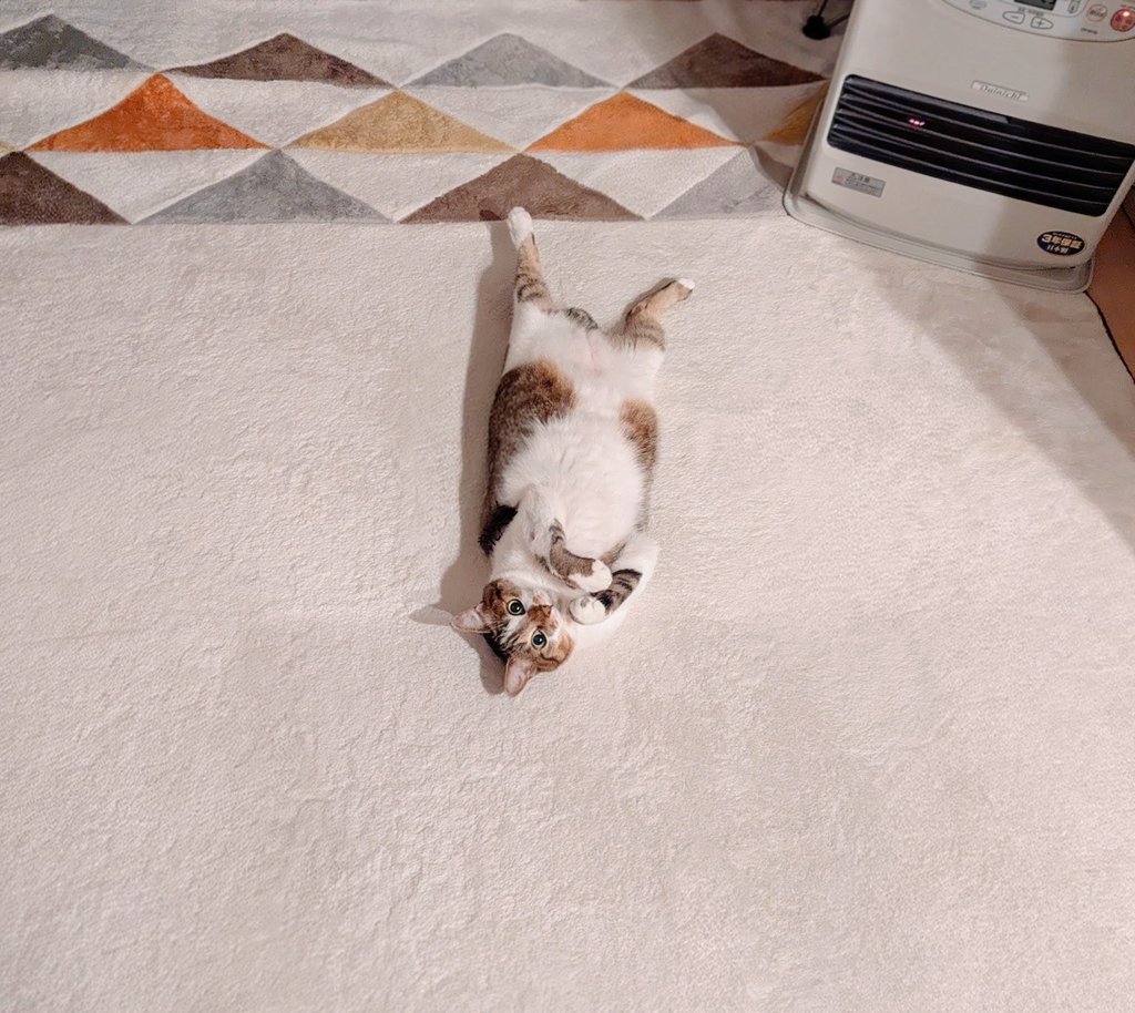 みみみちゃん (@mimimi______64) / Posts / X