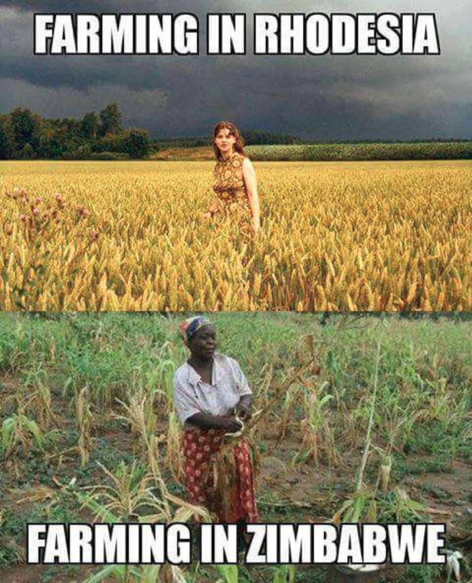 iamyesyouareno's tweet image. Rhodesia showed the world what Africa could be, Zimbabwe showed it what it is.