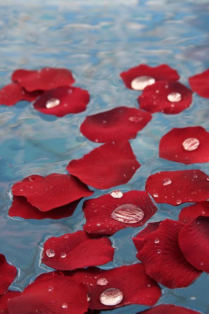 NSaliverou's tweet image. A part of the moveable feast 
,,,
[ Honour to Ernst Hemingway ]
,,,
Last days of the year,,
#thougths #images #Moments •|