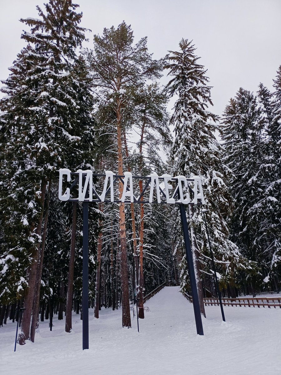 roman 🕊️ tweet media