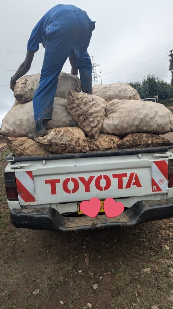 UWIMANA W'I KARONGI 🇷🇼 tweet media