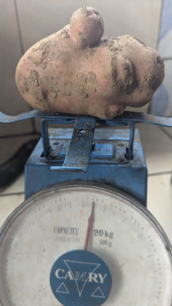 UWIMANA W'I KARONGI 🇷🇼 tweet media