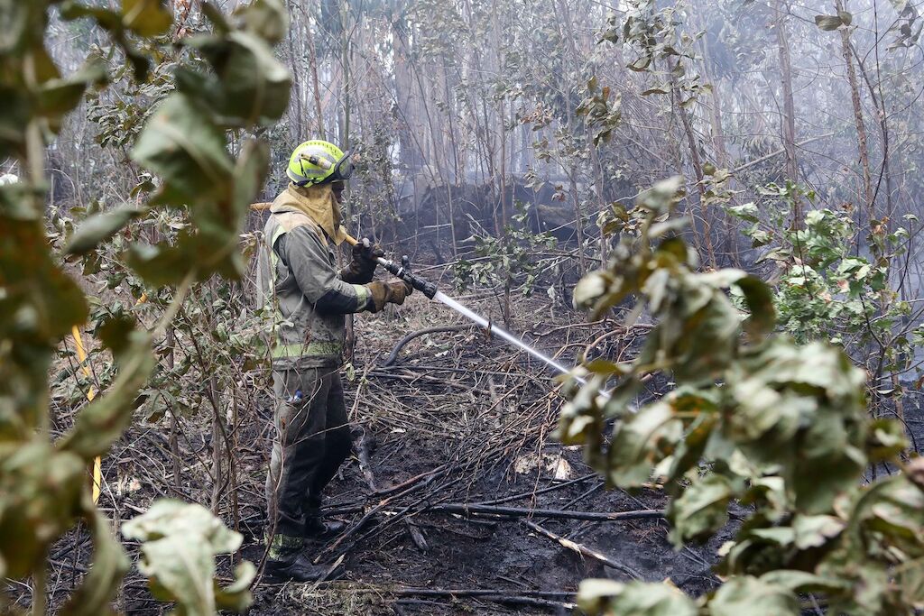 Aprobada cotización adicional para que agentes y bomberos forestales anticipen jubilación 2mj.co/thB