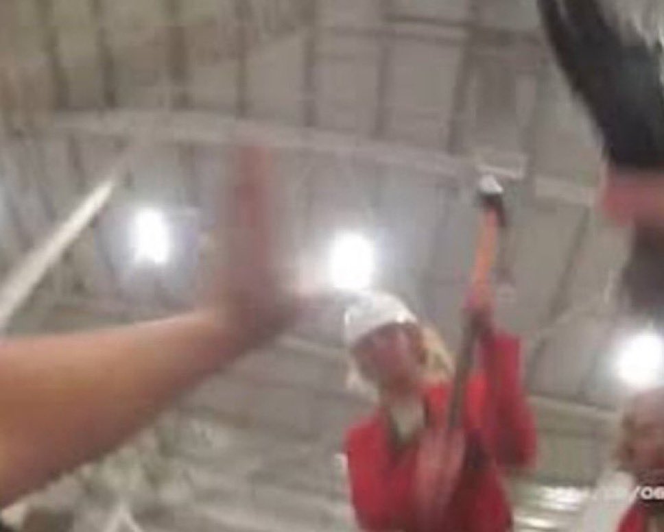 TRobinsonNewEra's tweet image. There's no genocide, and her sign is in support of proscribed terror group, "Palestine Action".

This is the last thing seen by a female UK police sergeant as one of their group hit her with a sledgehammer.

This is the leader of a UK political party.