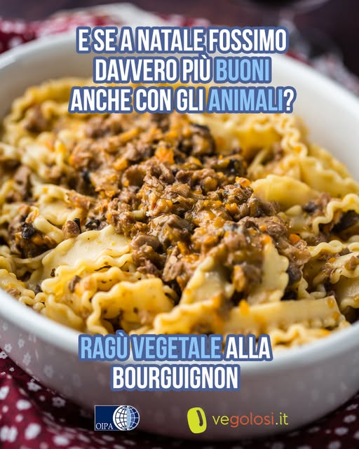OipaTreviso's tweet photo. Non è #MasterChef ma #Vegolosi, ricetta per un #ragu #vegan di #Natale 👉https://t.co/HfeuCT9YMK #buonefeste #crueltyfree #VeganChristmas #Christmas #vigilia #GoVegan #natale2025 #tryvegan #veganfood #BuonNatale #endthecageage #natalevegan #protezioneanimali #MasterChefIt https://t.co/FbmPGu0Qg2