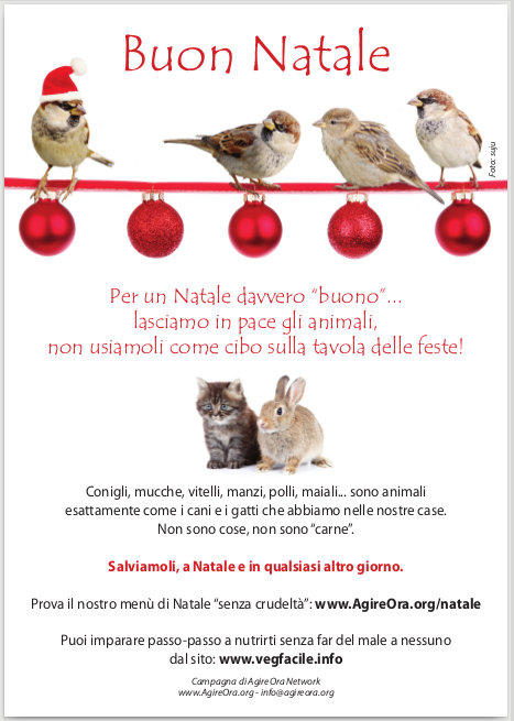 OipaTreviso's tweet photo. Non è #MasterChef ma #Vegolosi, ricetta per un #ragu #vegan di #Natale 👉https://t.co/HfeuCT9YMK #buonefeste #crueltyfree #VeganChristmas #Christmas #vigilia #GoVegan #natale2025 #tryvegan #veganfood #BuonNatale #endthecageage #natalevegan #protezioneanimali #MasterChefIt https://t.co/FbmPGu0Qg2
