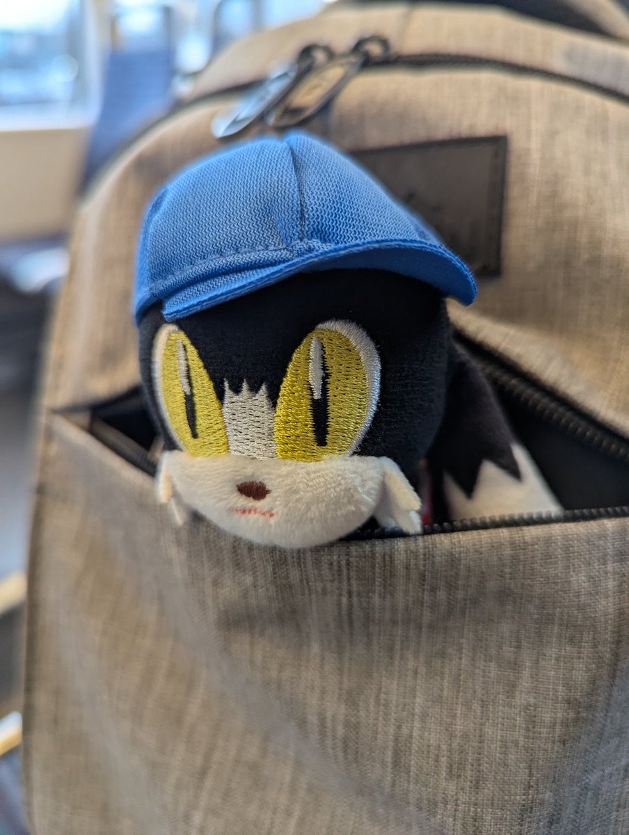 entriphy's tweet image. 