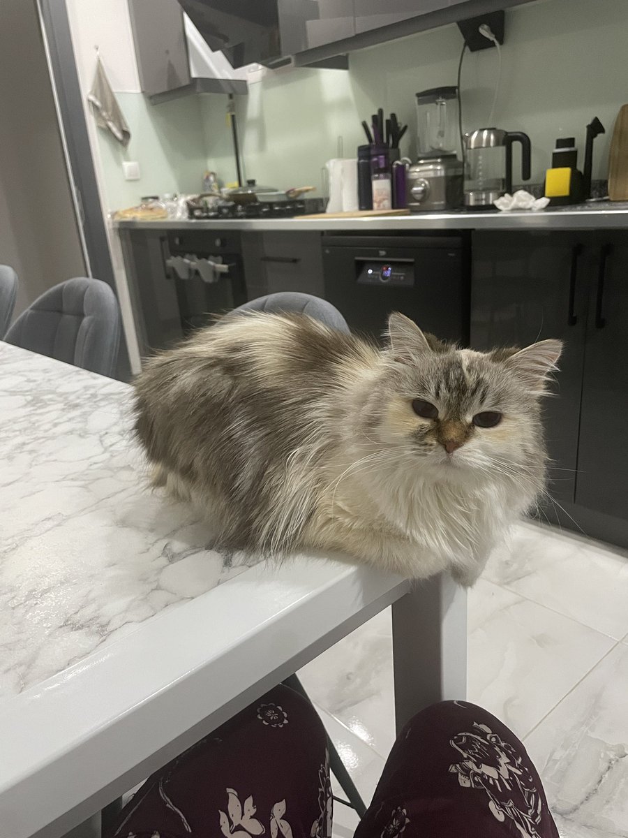 Происходит тунцовое давление