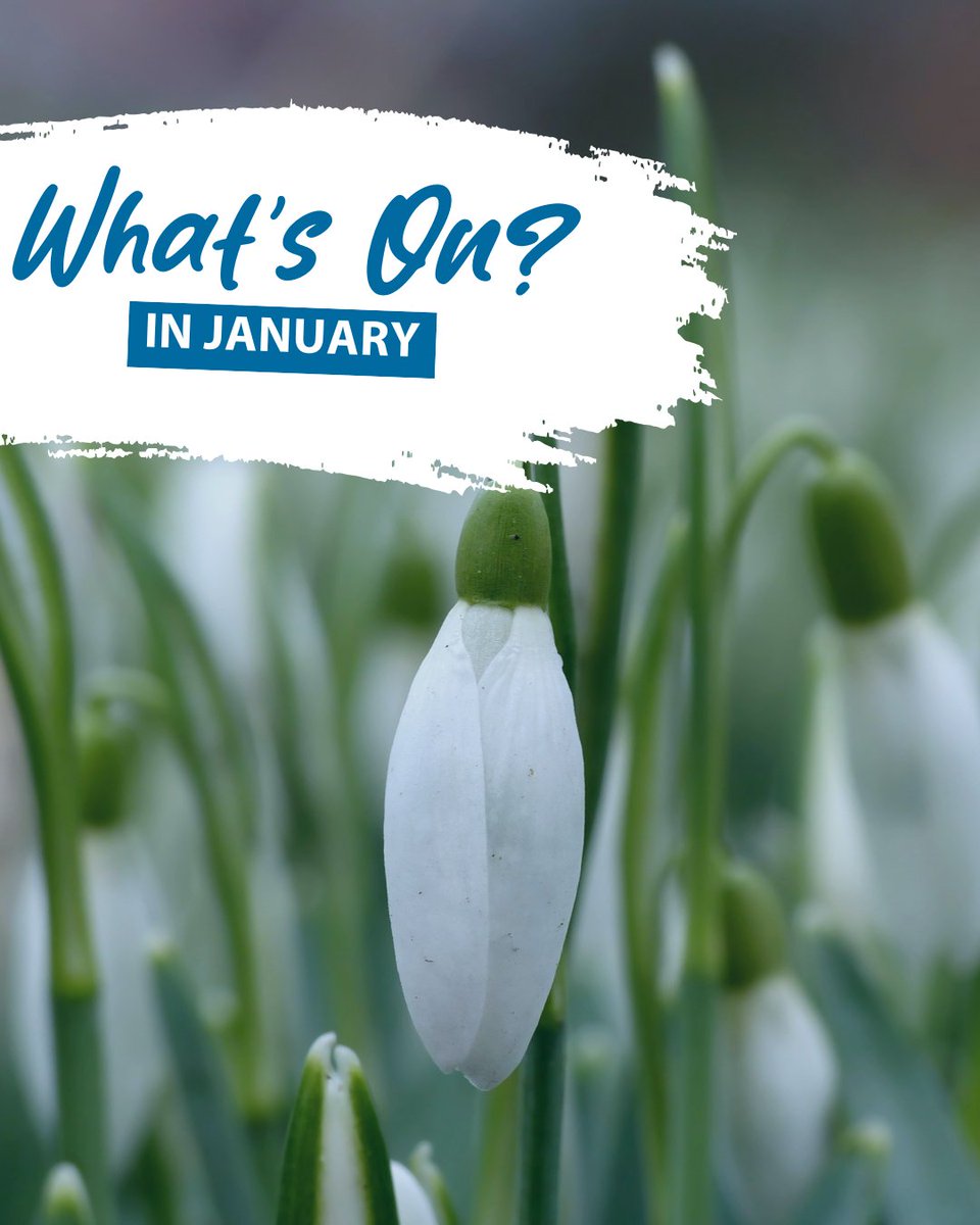 What’s on this January? 
 
🍏Thurs 8th , Stoke Prior Wassail 
☕️Fri 9th &amp; Sat 17th,  Eastnor Pottery ‘Introduction to the Potter’s Wheel’ 
👷Tues 13th ,  <a href="/HFDCathedral/">Hereford Cathedral</a> Lego Club. 
🛍 Every Fri,  Leominster Farmer’s Markets.
🎤Frid 23rd - ARRIVAL return to <a href="/CourtyardArts/">The Courtyard</a>