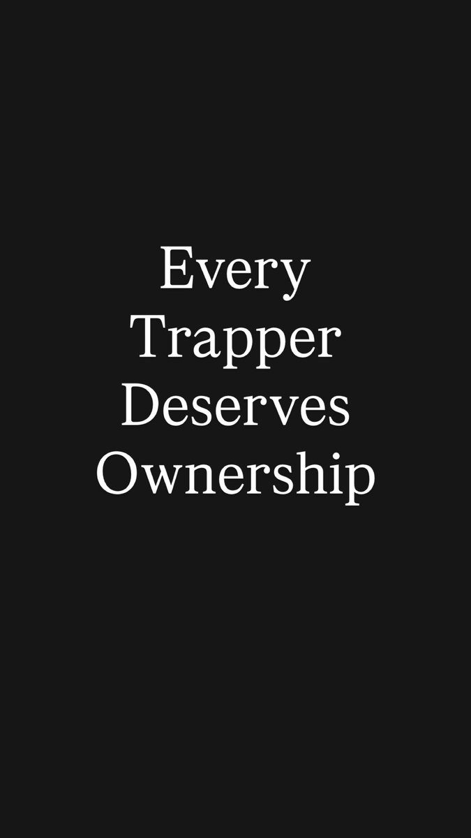 notorioustrees's tweet image. Quiet the noise and start building