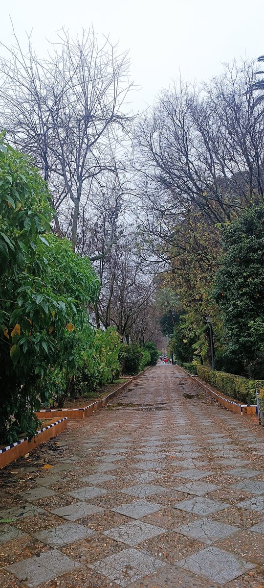 “La Belleza aparece, se pierde, reaparece, se pierde,
vuelve a aparecer, se diluye.
Al final solo escuchas
las pulsaciones de un pozo,
que es tu corazón”.

Roberto Bolaño