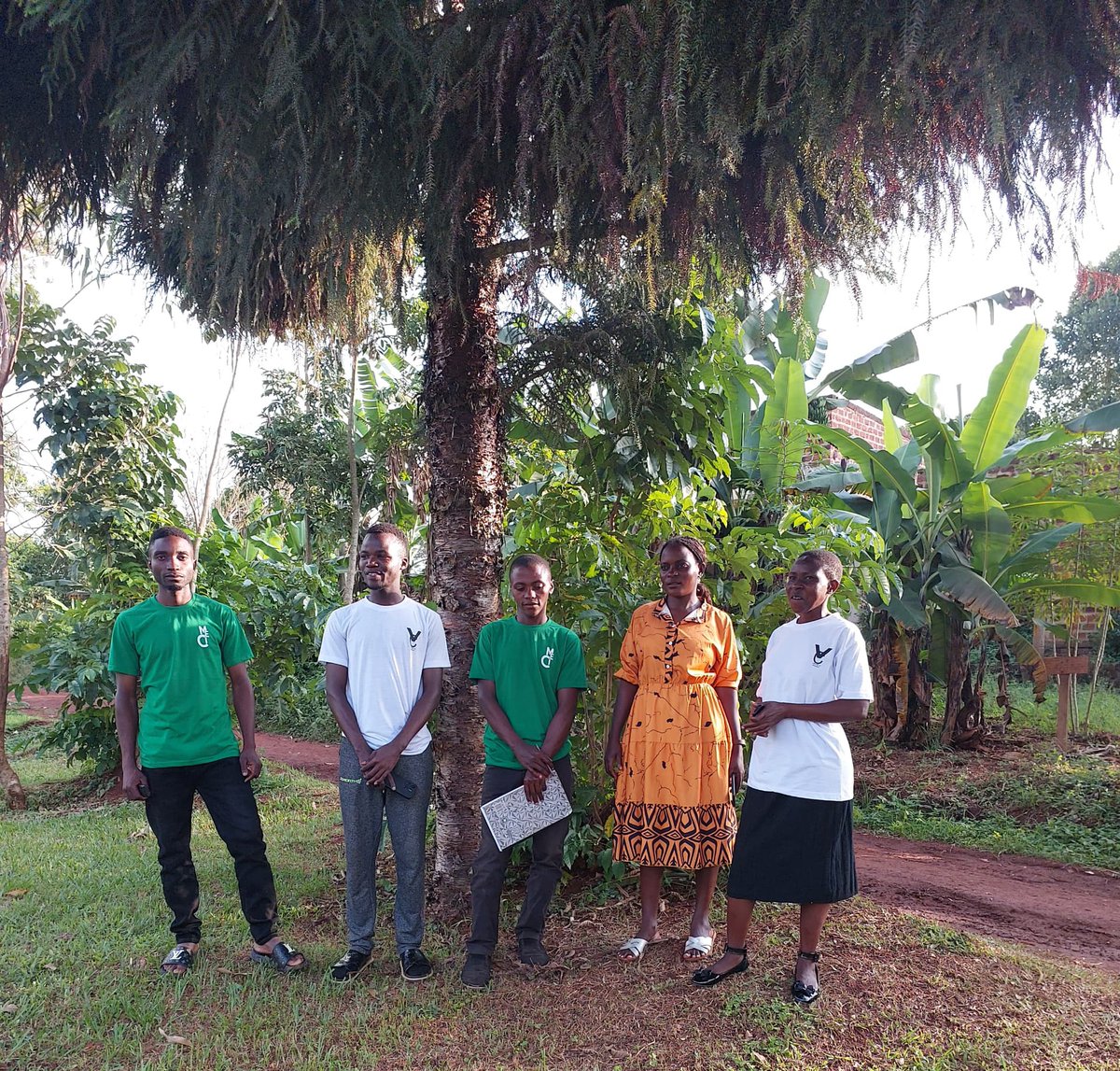 KAMYA KAAHWA MARTIN OSCAR (KKMO) tweet media