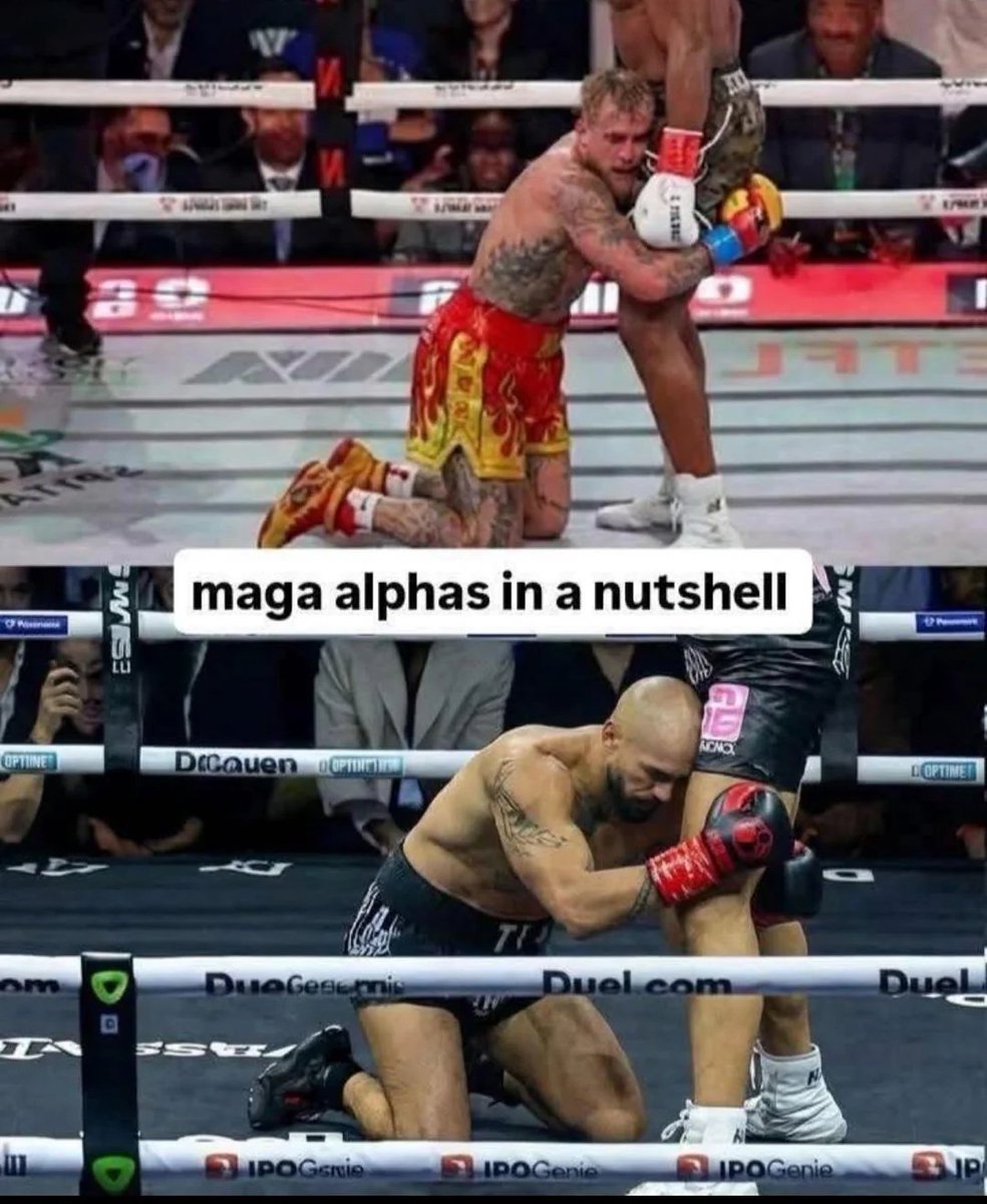 Those "alpha" males lol.