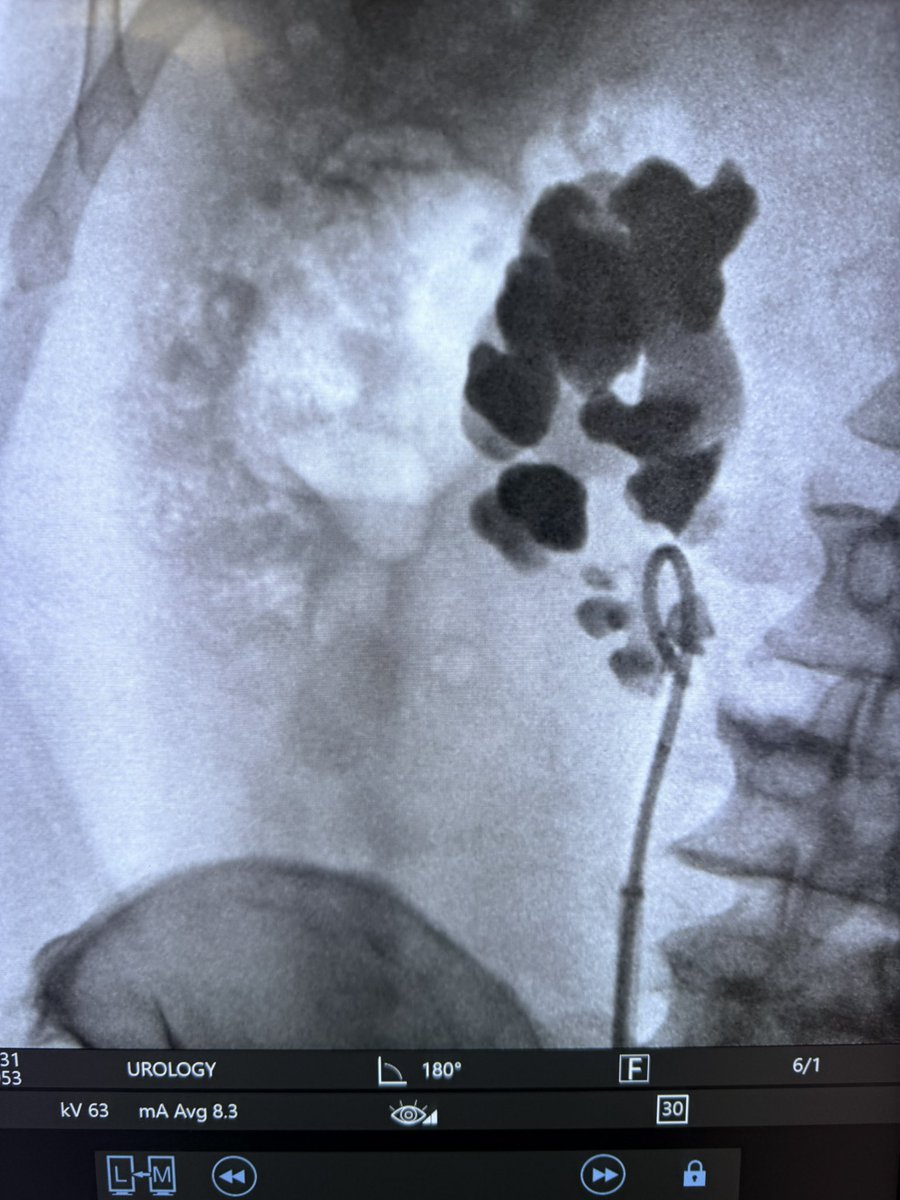 MD Braulio O. Manzo tweet media