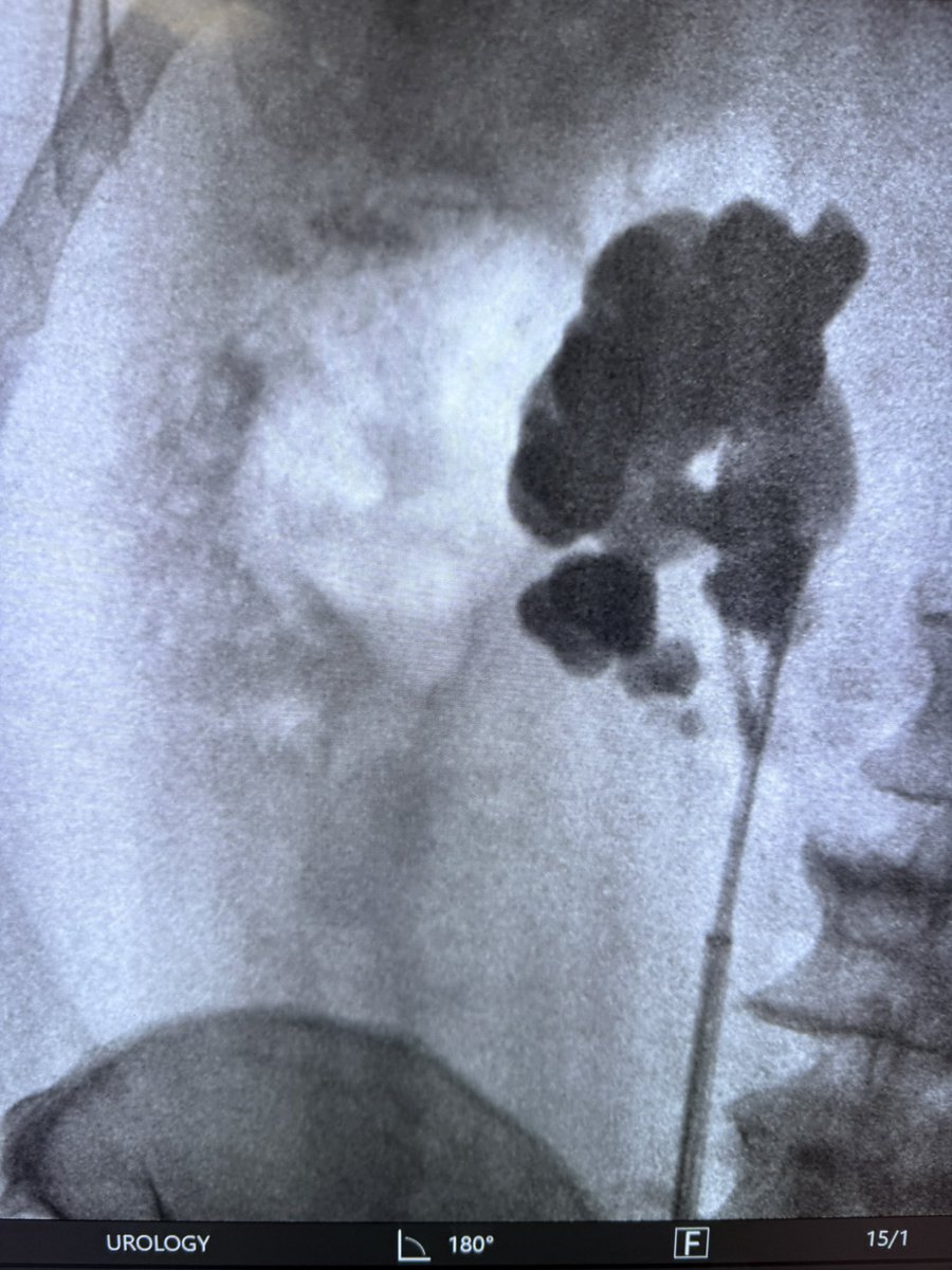 MD Braulio O. Manzo tweet media