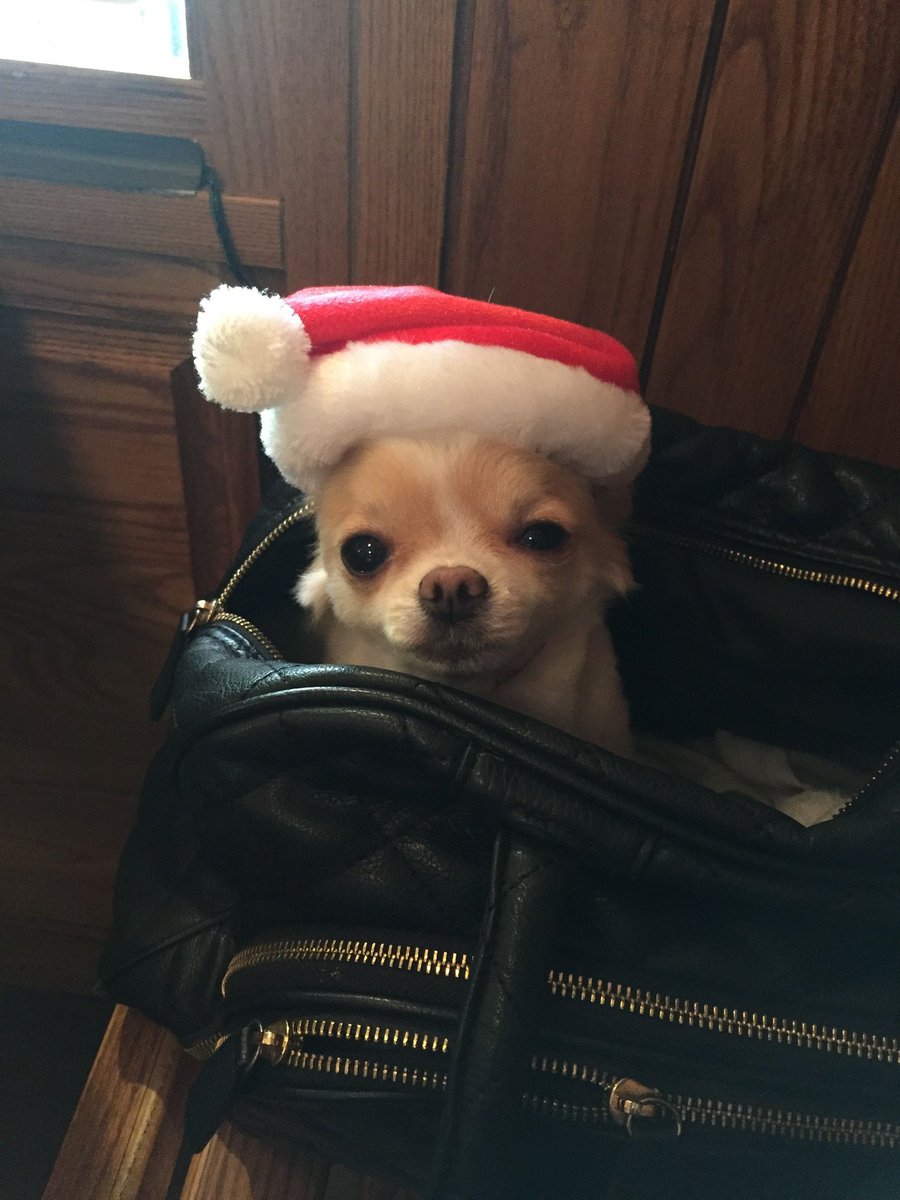 colormytree.me/2025/01KBR6K87…