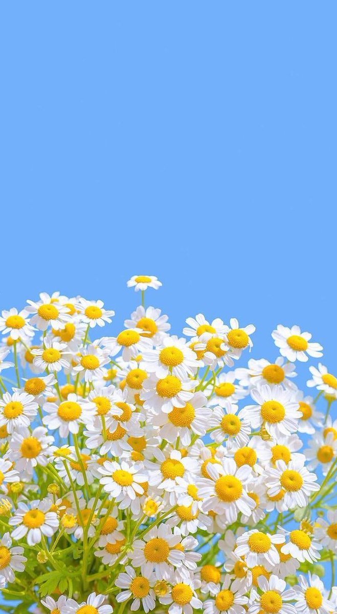 Fineleather's tweet image. ただいま〜 少し疲れたかも。のんびり過ごそ。ご褒美スイーツにしよ🍰 🛍️ 👩‍👦