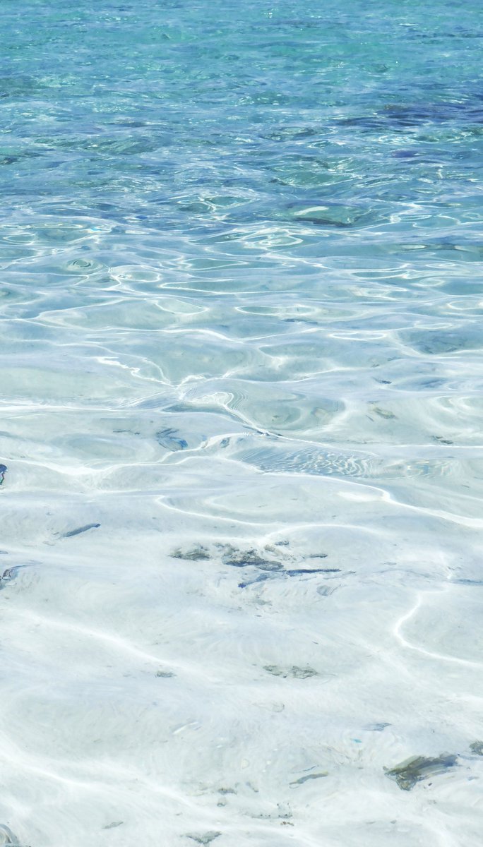 HeatherTypes's tweet image. 本屋さん寄りたい📚してから焦らずマイペースで ✨ 👍