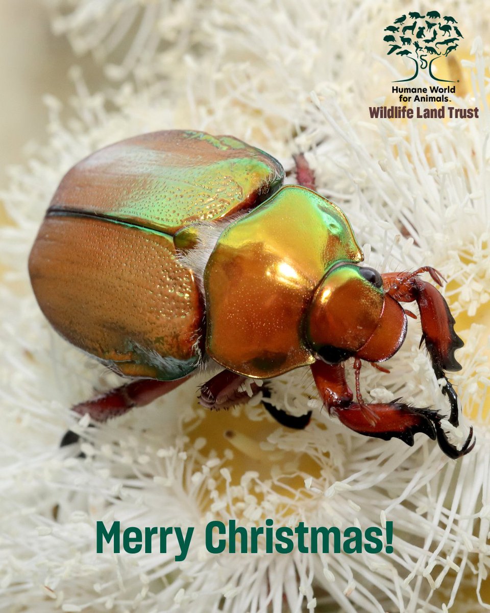 Wildlife Land Trust tweet media