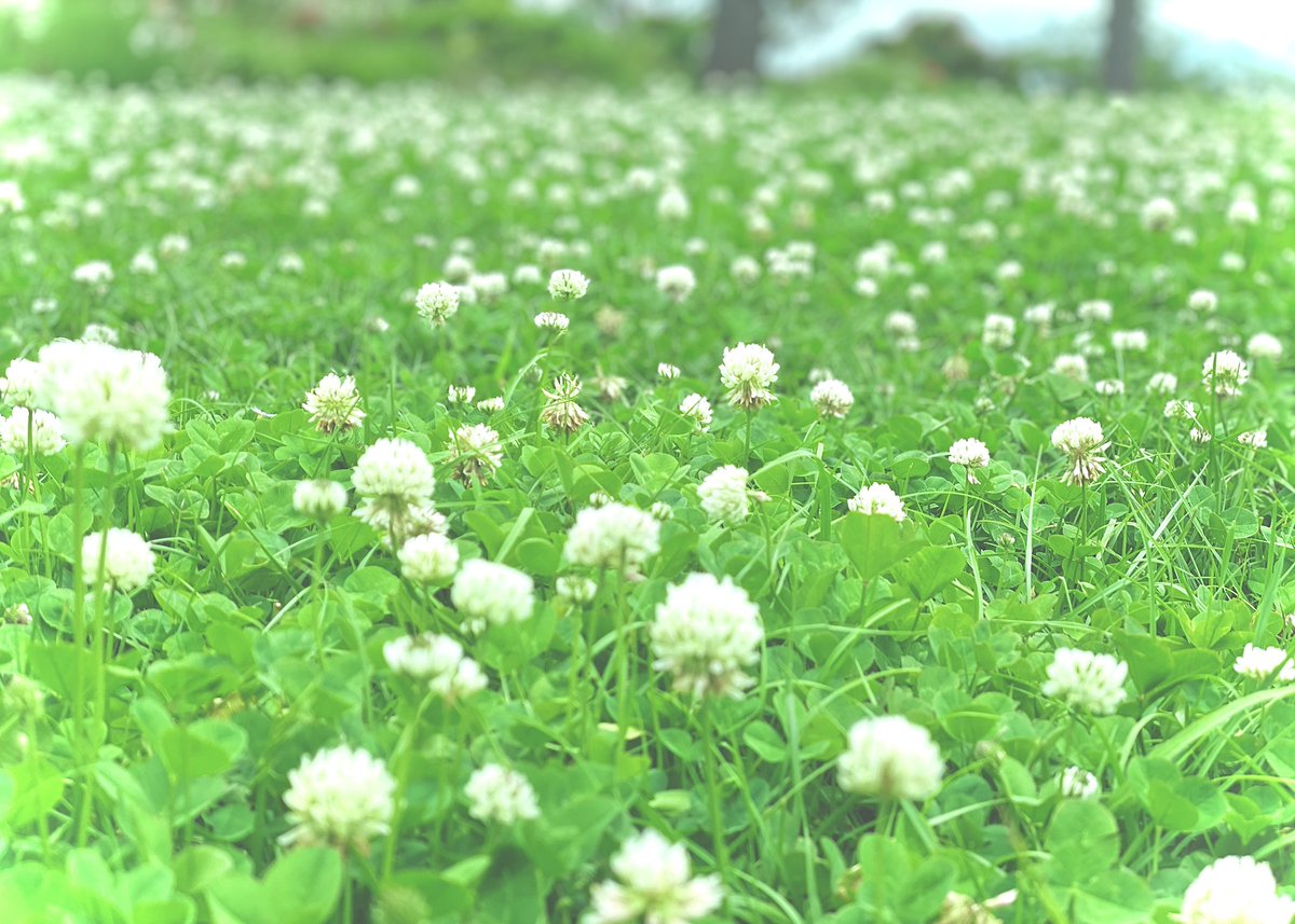 msmCh_108's tweet image. #HelloWorld #foryou