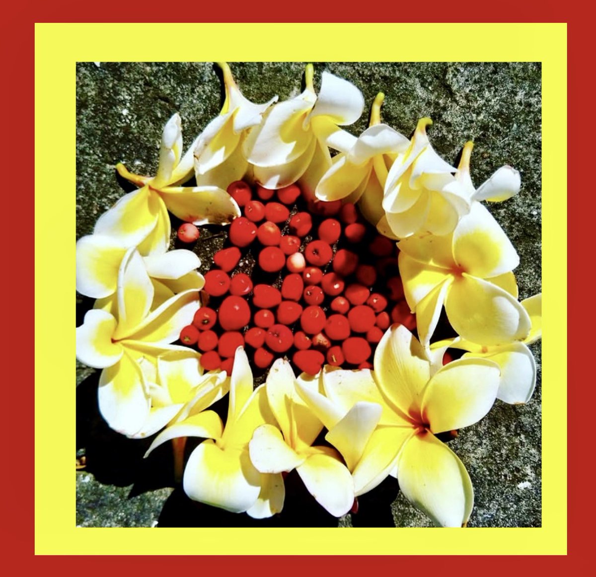 Danielle Baldock tweet media