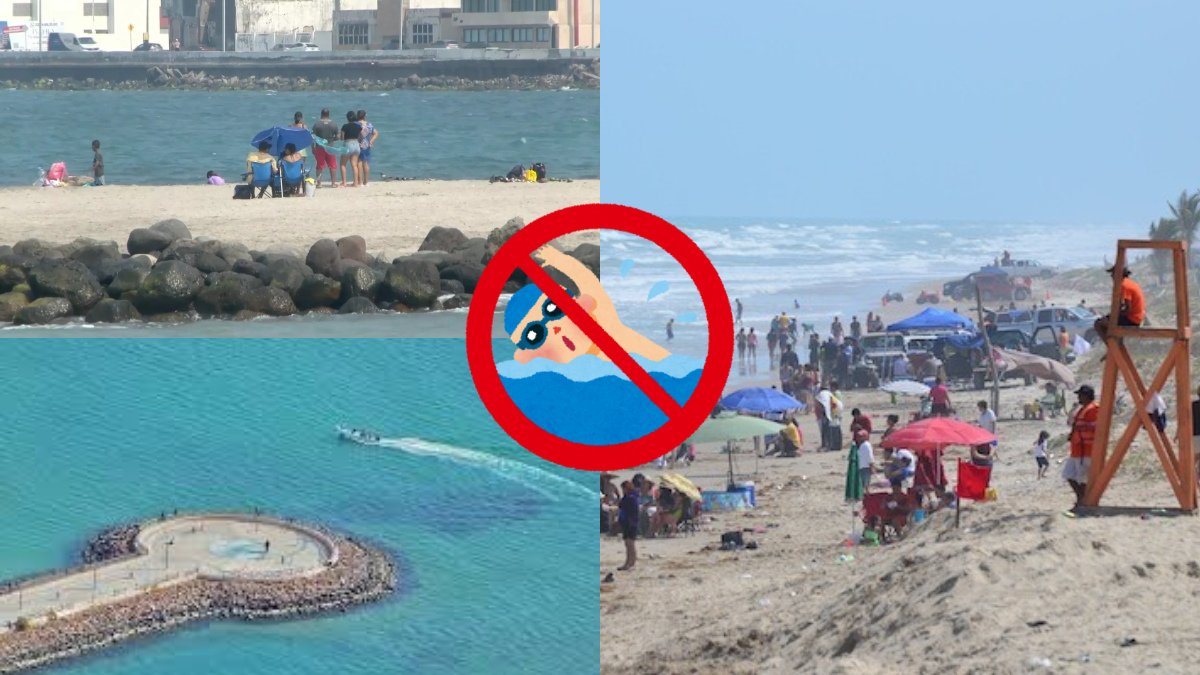 ❌¿Te vas de vacaciones de fin de año este 2025? Estas son las #playas más contaminadas en #México 🏊🌊

lajornadahidalgo.com/te-vas-de-vaca…