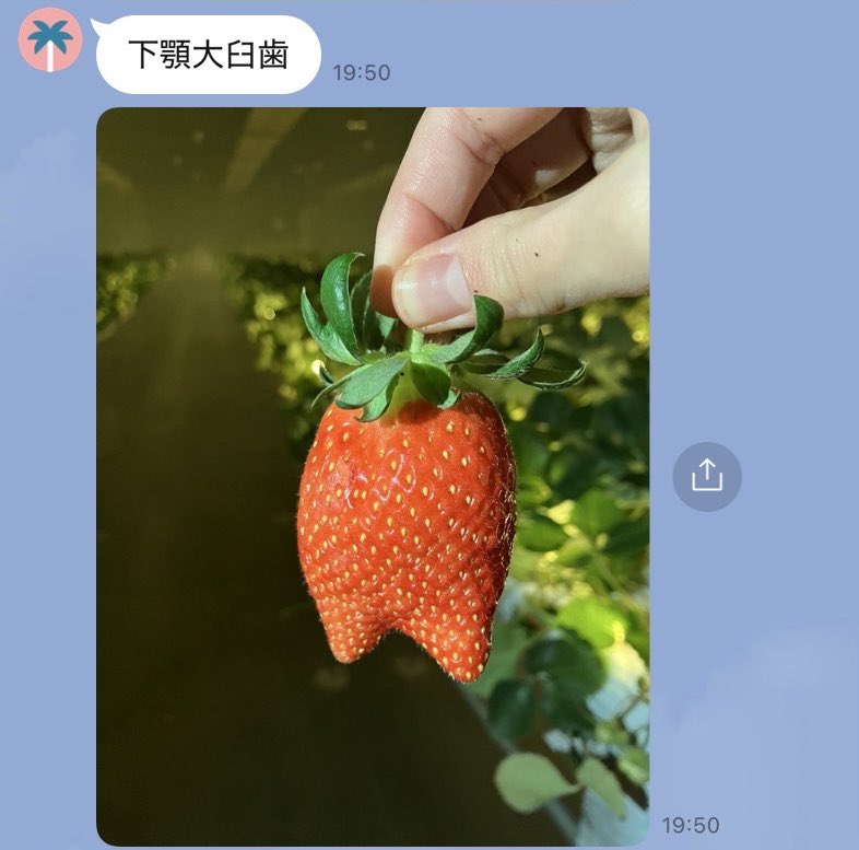 株式会社ヨシダ【公式】 tweet media