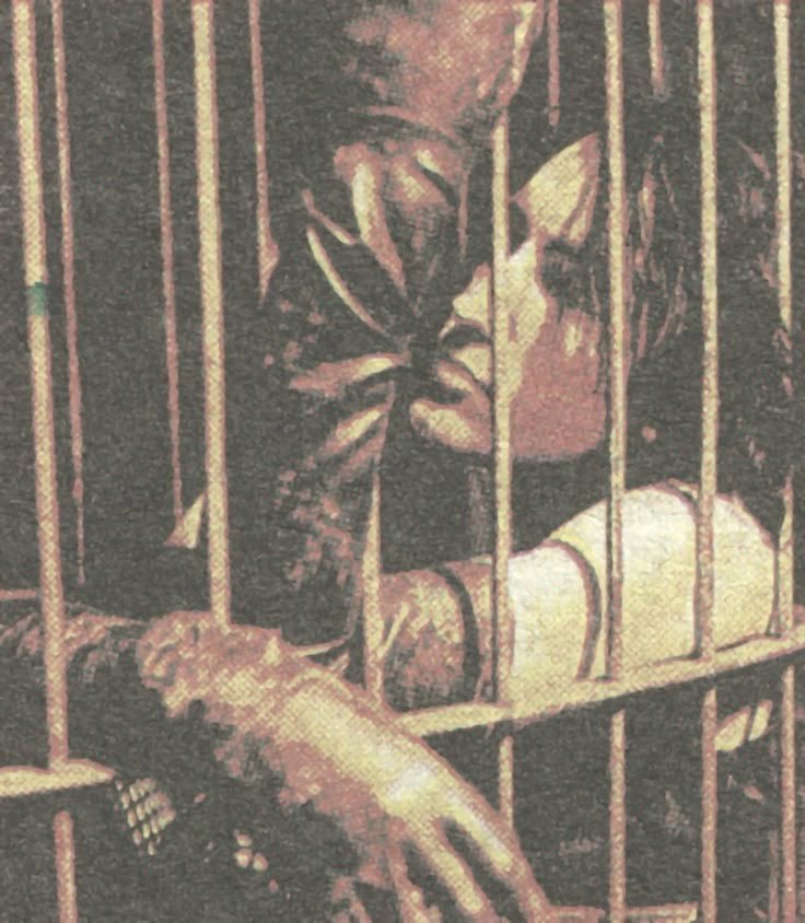 illi / mello 🪒 tweet media