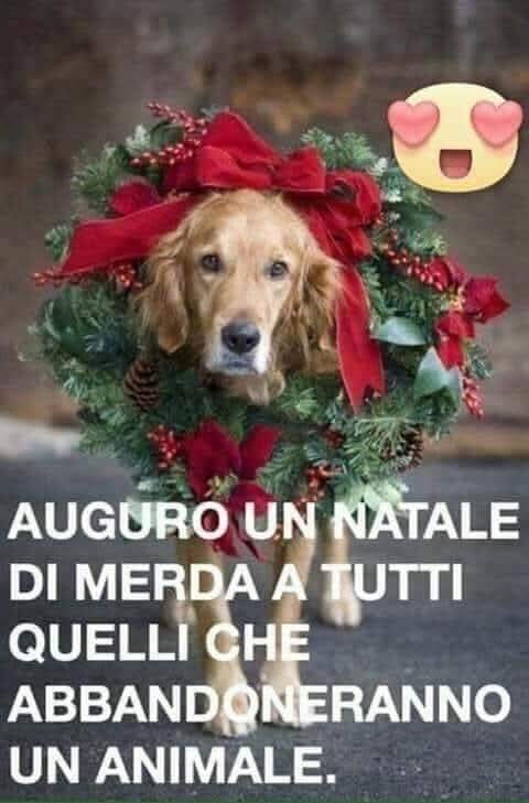 CuoreIschitano's tweet photo. https://t.co/8o9LtXLQjp