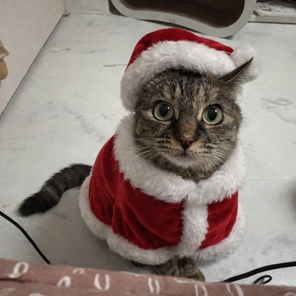 세상 귀찮은 삼촌과 열정 넘치는 신입 같은 느낌 ㅎㅎ 
- 옷 같은 거 절대 못 입히는데 ai 덕분에 이런 것도 본당