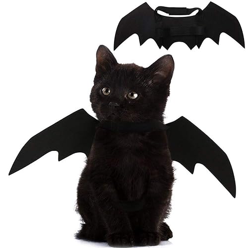 I just received Pet Cat Bat Wings for Halloween Party Decoration, Puppy Collar Leads Cosplay Bat Costume,Cute Puppy Cat Dress Up Accessories - Black from Anonymous via Throne. Thank you! throne.com/skellypops #Wishlist #throne
