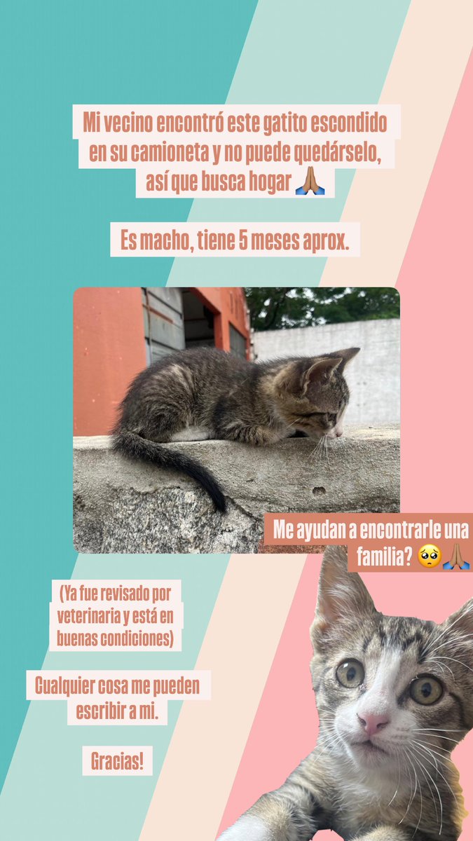 Agradezco RT! 🙏🏽