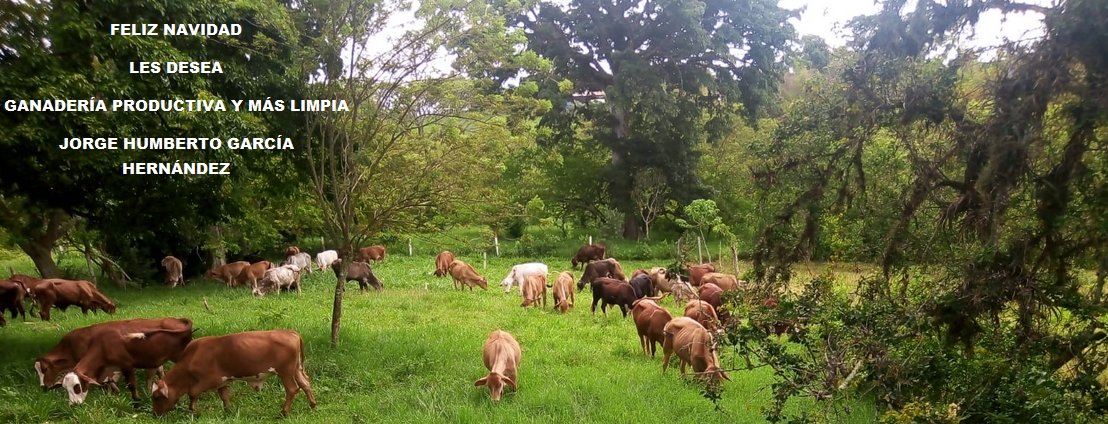 Ganadería Productiva (@ganaderiaproduc) on Twitter photo 