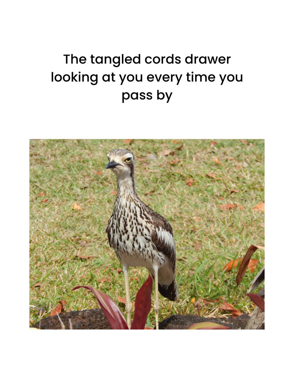 JunkRelief's tweet image. Swear I'll get to it someday... 😔😮‍💨

#declutterchicago #cleaningmemes #declutteringhumor