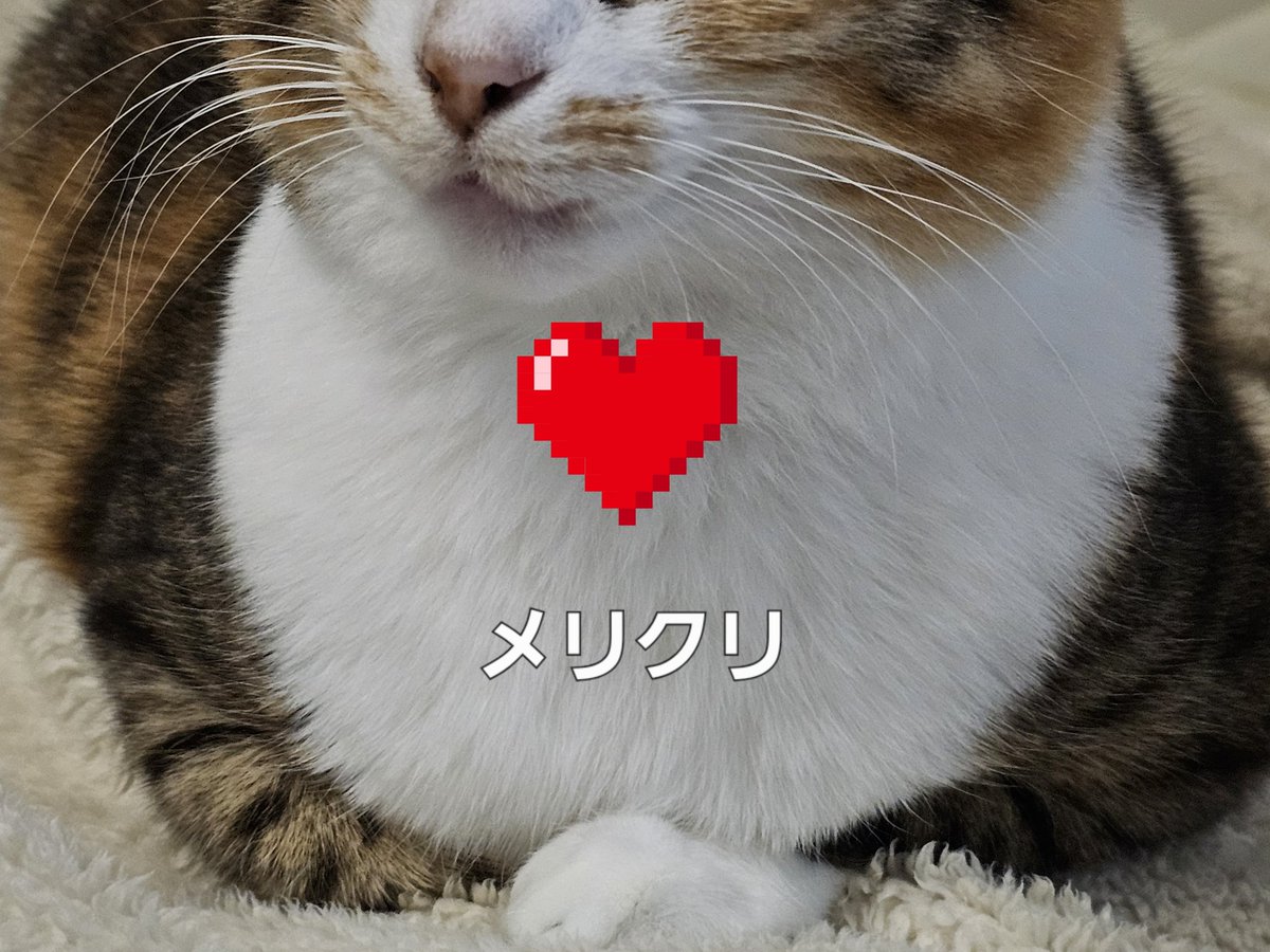 モモ🍀 (@mochy1205) on X