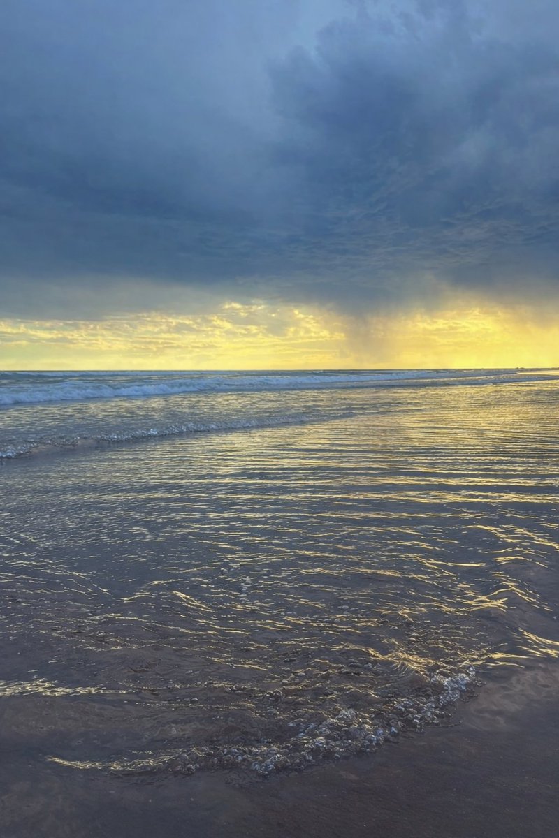 Sol senpai si no hiciera contenido para mogolicos: