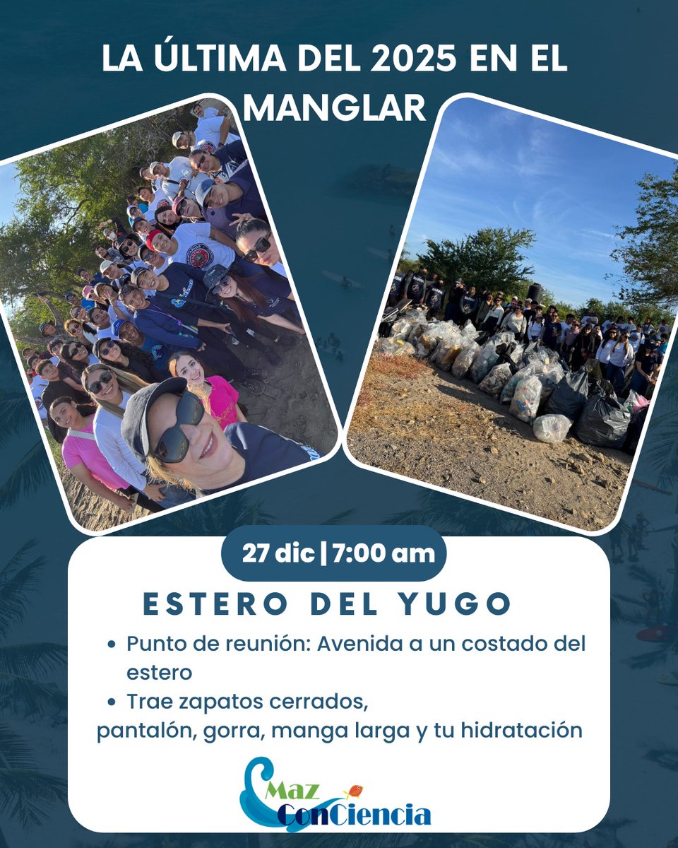 Cerritos Sea Turtle Rescue tweet media