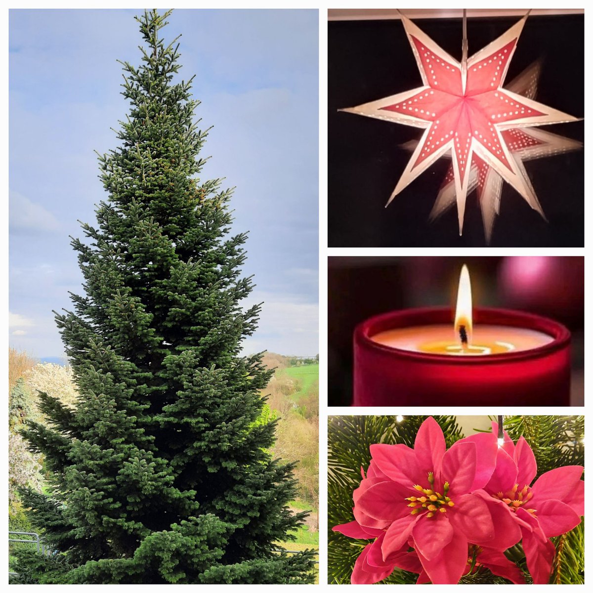 Allen Followern und besonders den kranken und einsamen Lesenden eine gesegnete, friedvolle Weihnacht.
"Leise werden wir an diesem Abend, weil das Wunder uns anrührt, immer wieder neu. Herr schenke uns, dass diese Stille mit uns und in uns bleibt und das Leben trägt." (Gebet)