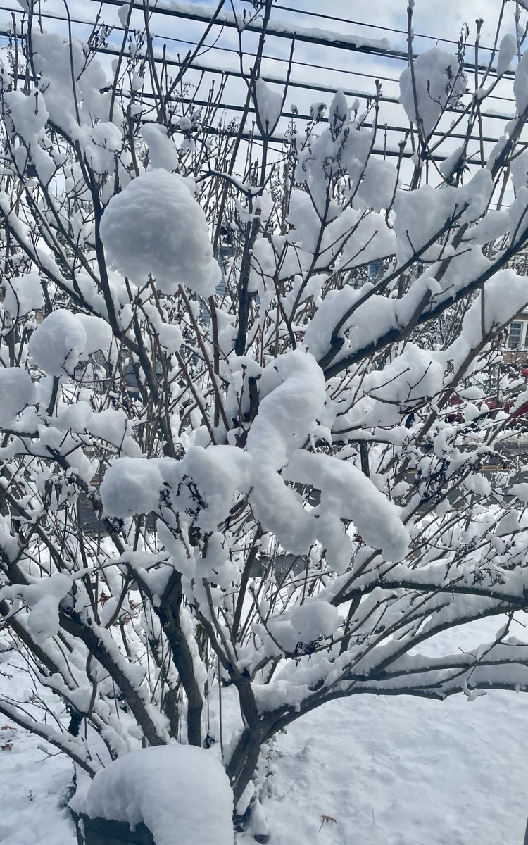 eurigmorgan's tweet image. Mais où sont les neige d’antan?